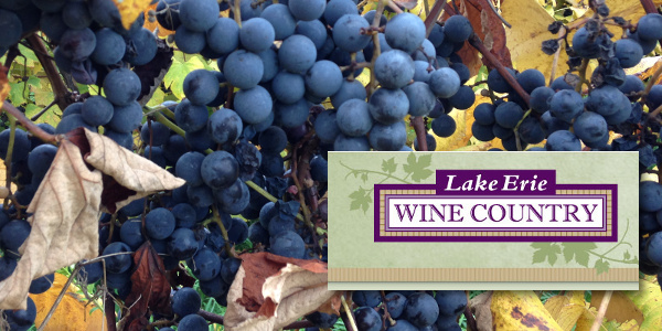 Lake Erie Wine Country Feature